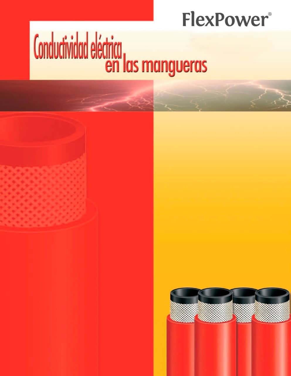 miniatura de PDF con documentacion Poberaj SA.